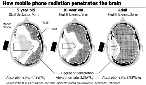 EMF Hazards of Non-Ionizing Radiation - EMF Dangers - Health Risks - How To Protect from Radiation