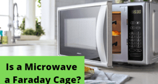 Is a Microwave a Faraday Cage