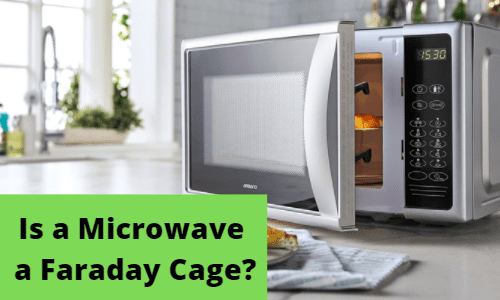 Is a Microwave a Faraday Cage
