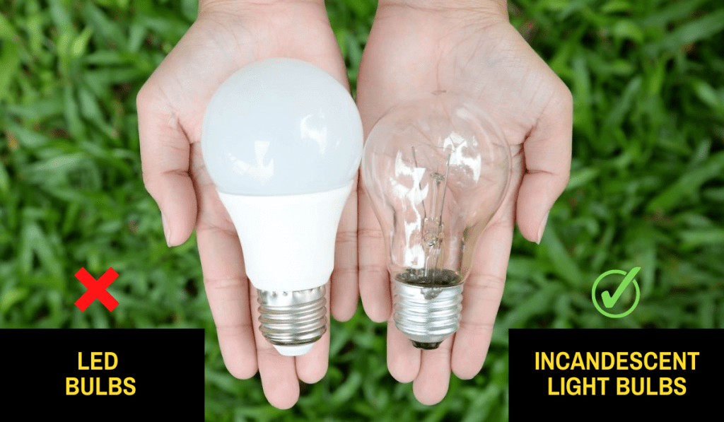 Ways to Reduce the EMF Levels from Light Bulbs